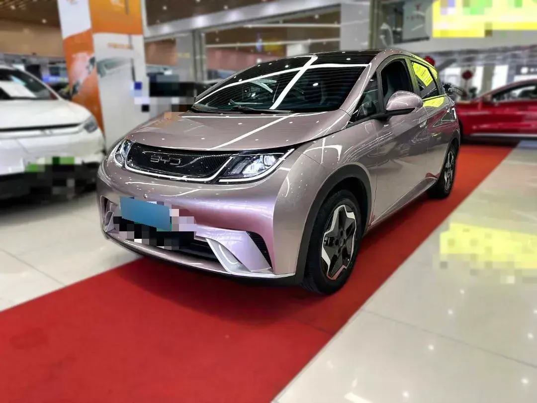 2021 BYD Dolphin BEV 44.9KWH