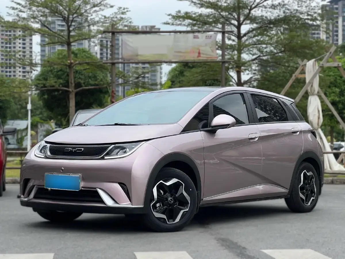 2021 BYD Dolphin BEV 44.9KWH
