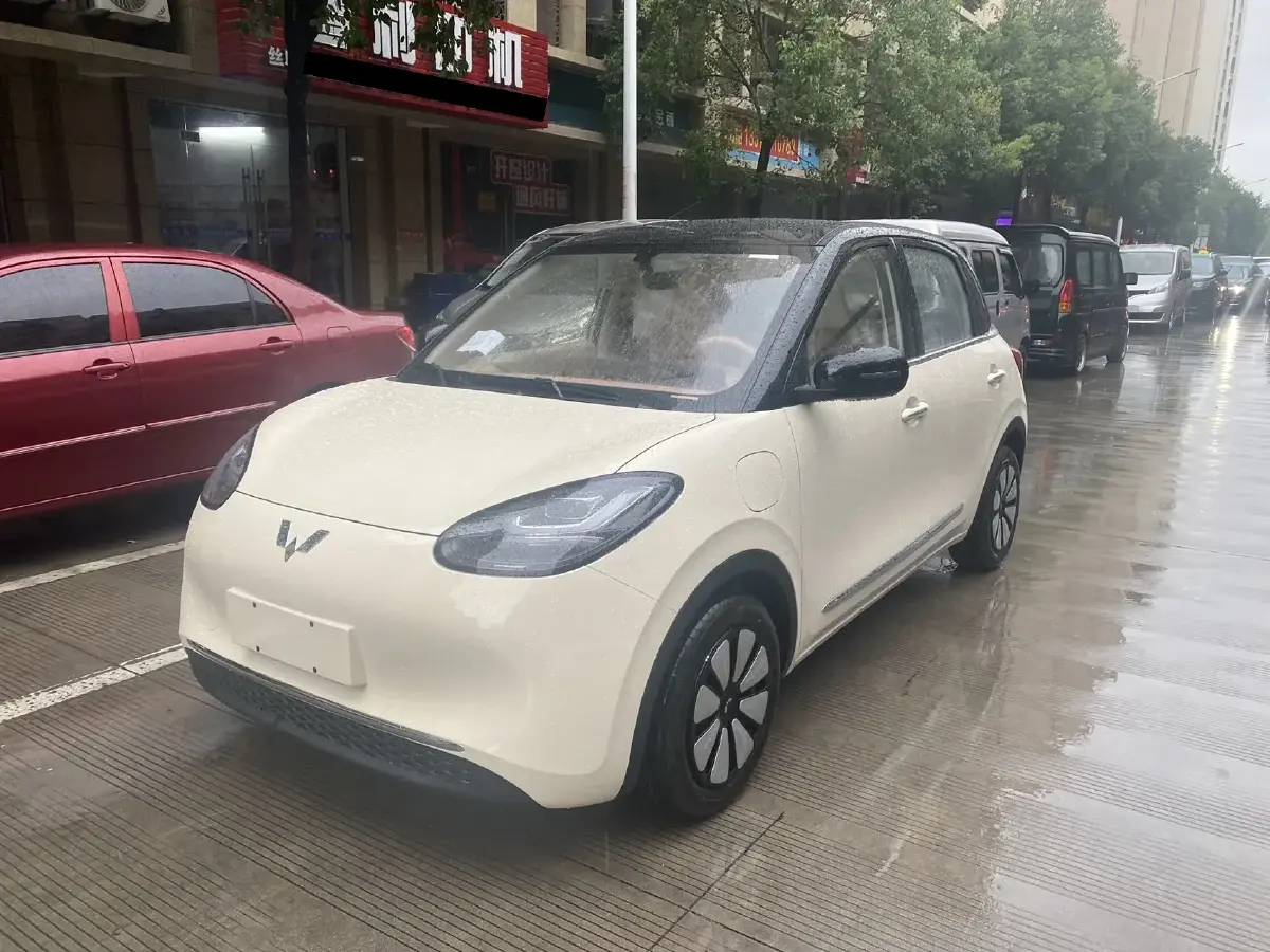 2025 WuLing BinGuo BEV