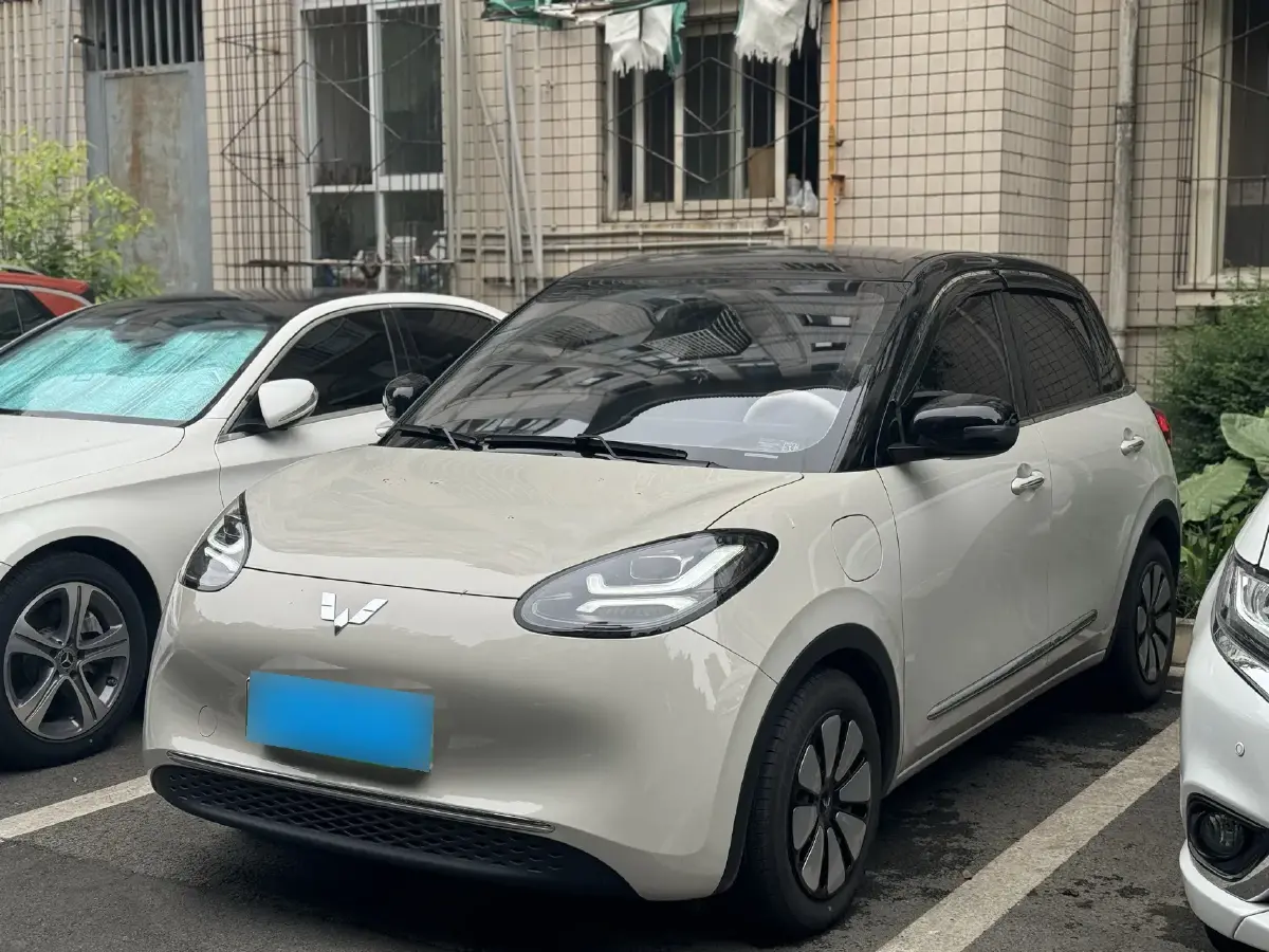 2024 WuLing BinGuo BEV 31.9KWH