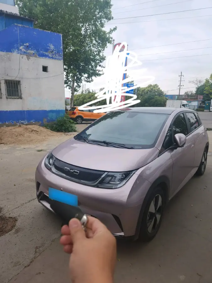 2023 BYD Dolphin BEV 44.928KWH