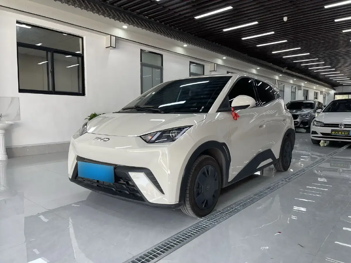 2024 BYD Seagull BEV 30.08KWH