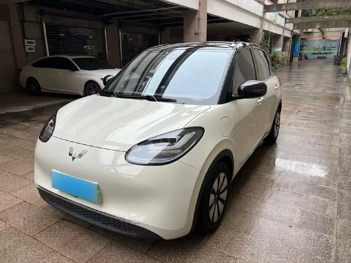 2023 WuLing BinGuo BEV 31.9KWH