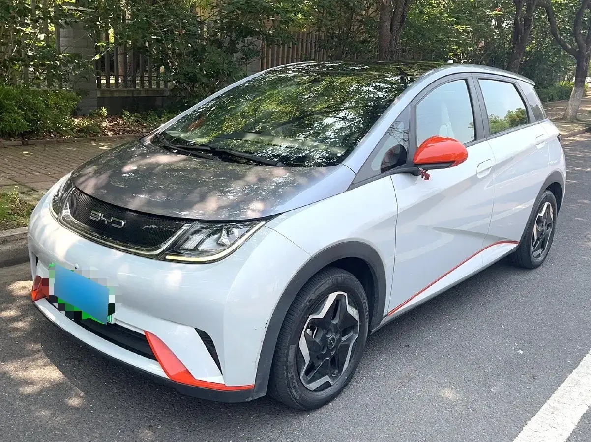 2021 BYD Dolphin BEV 44.9KWH