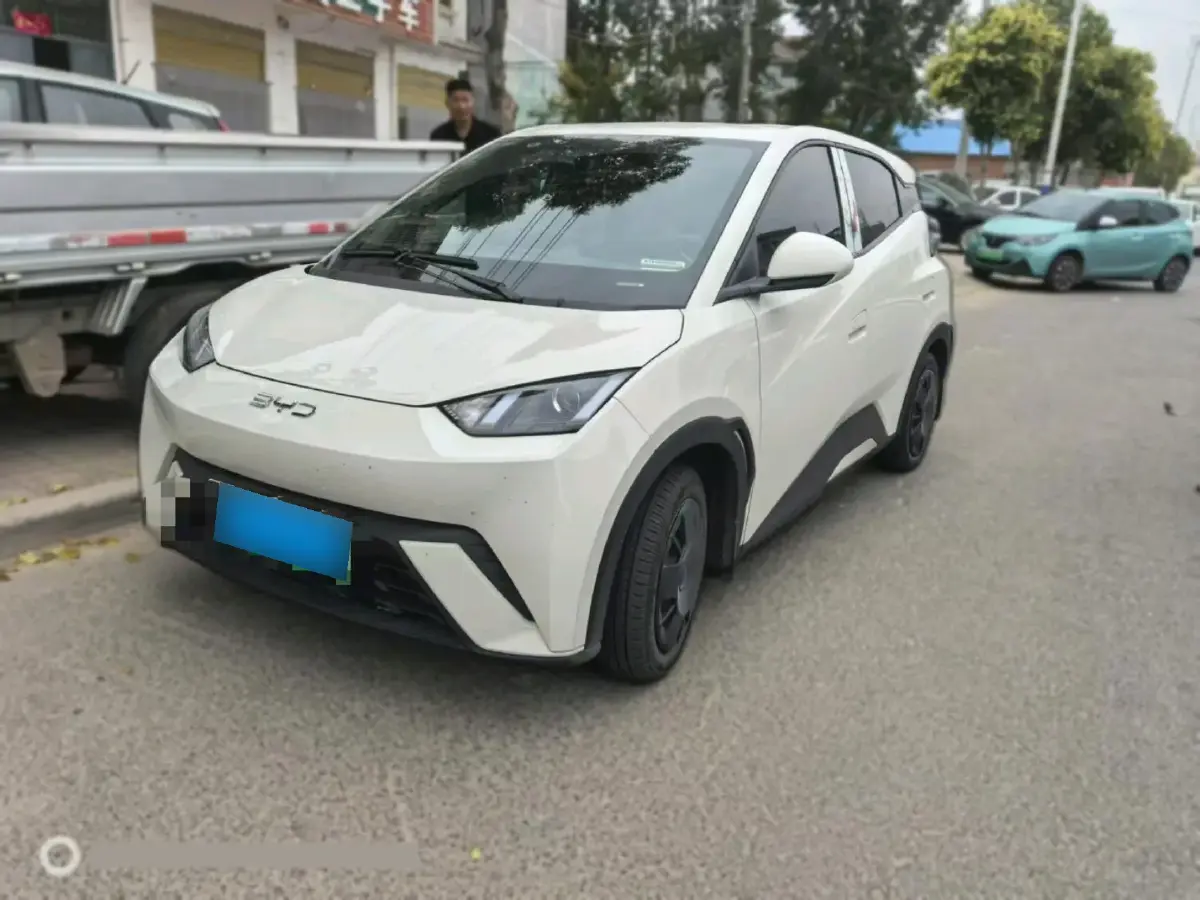 2024 BYD Seagull BEV 30.08KWH