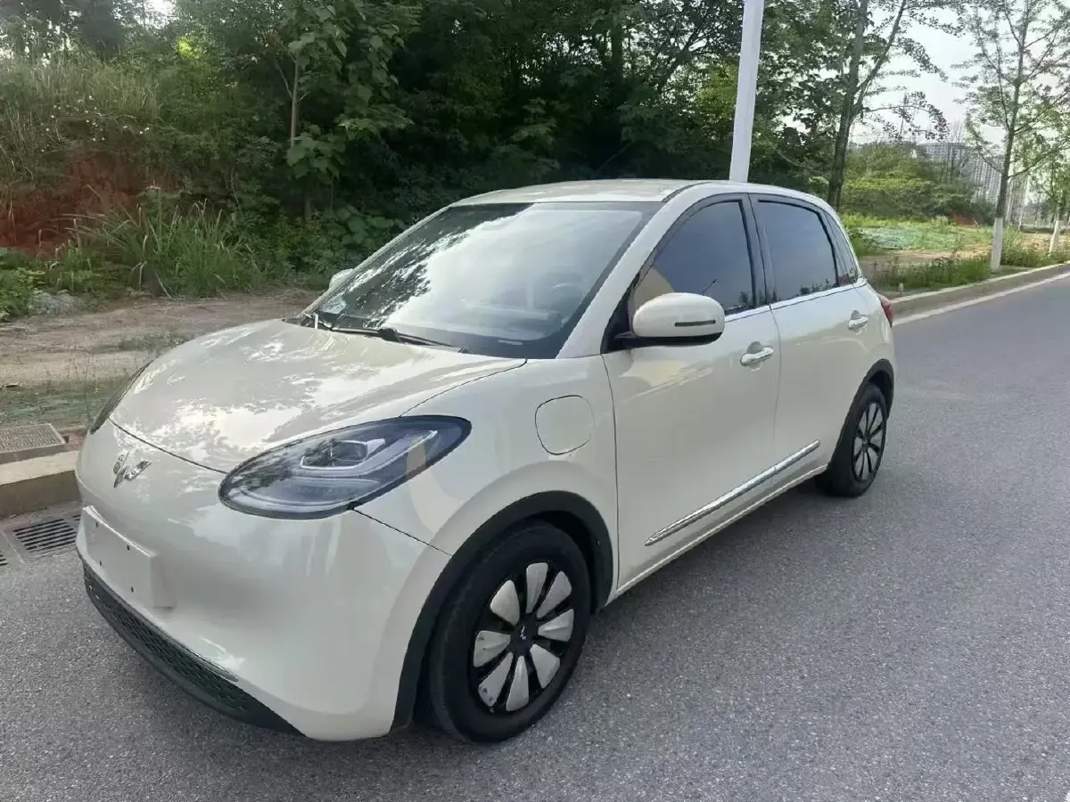 2023 WuLing BinGuo BEV 31.9KWH