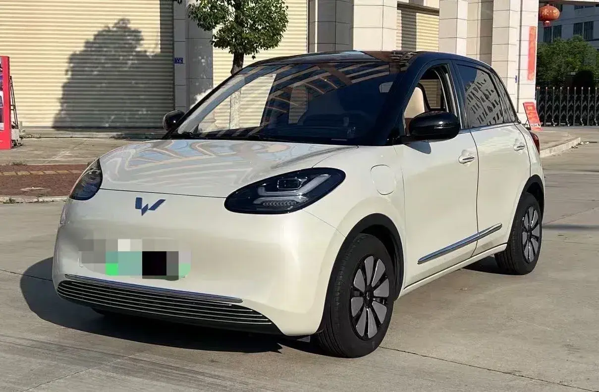 2023 WuLing BinGuo BEV 31.9KWH