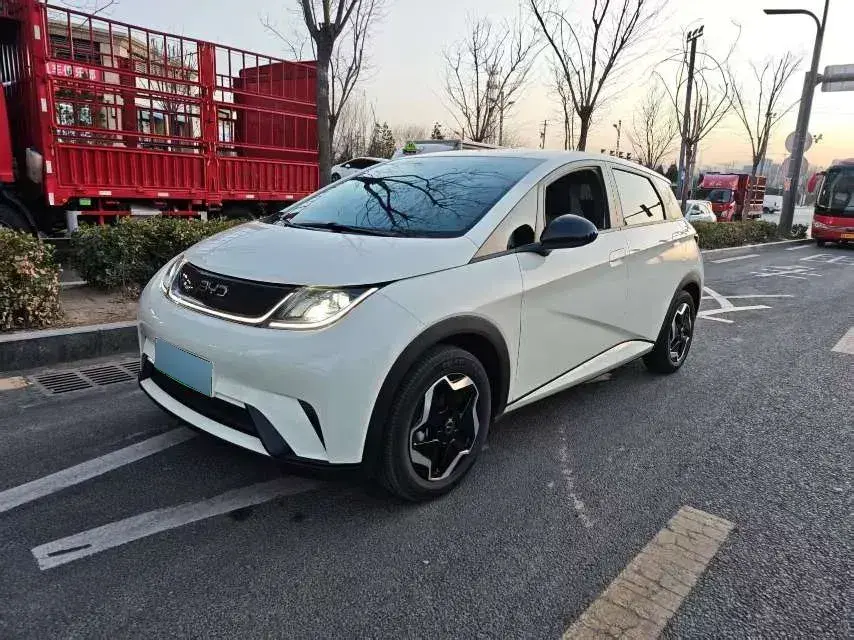 2025 BYD Dolphin BEV 44.928KWH