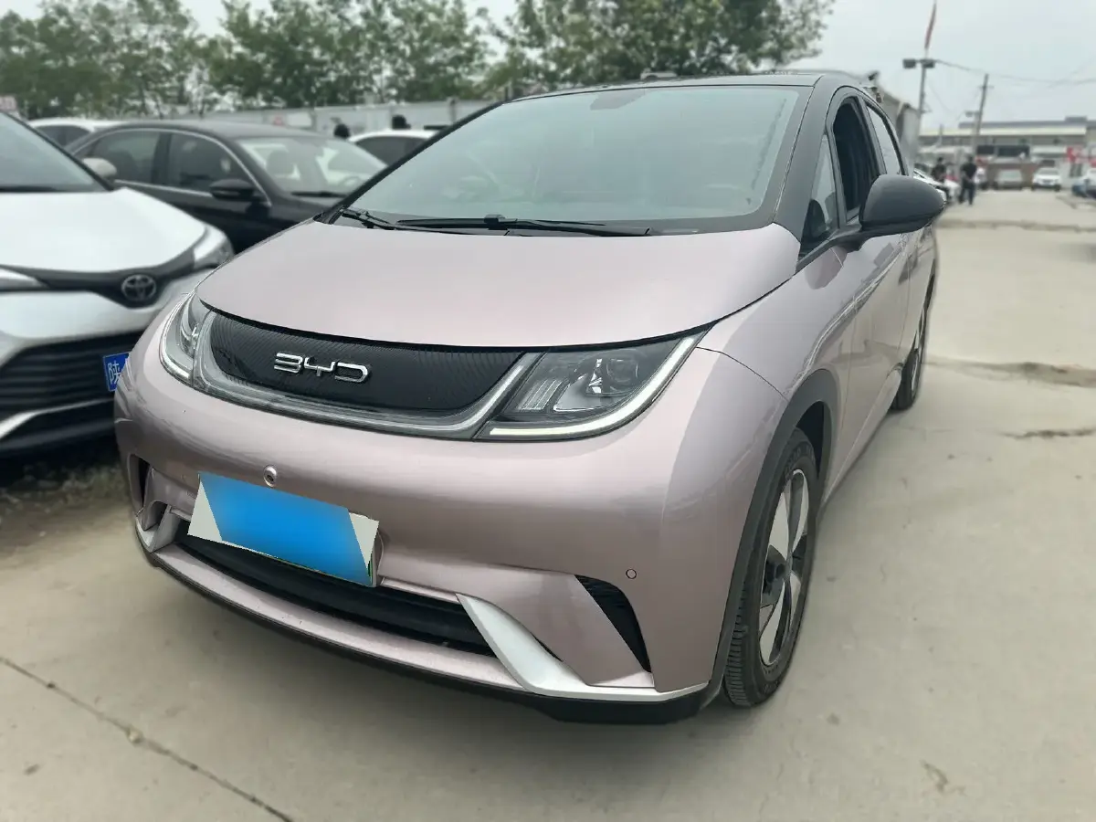 2023 BYD Dolphin BEV 44.928KWH