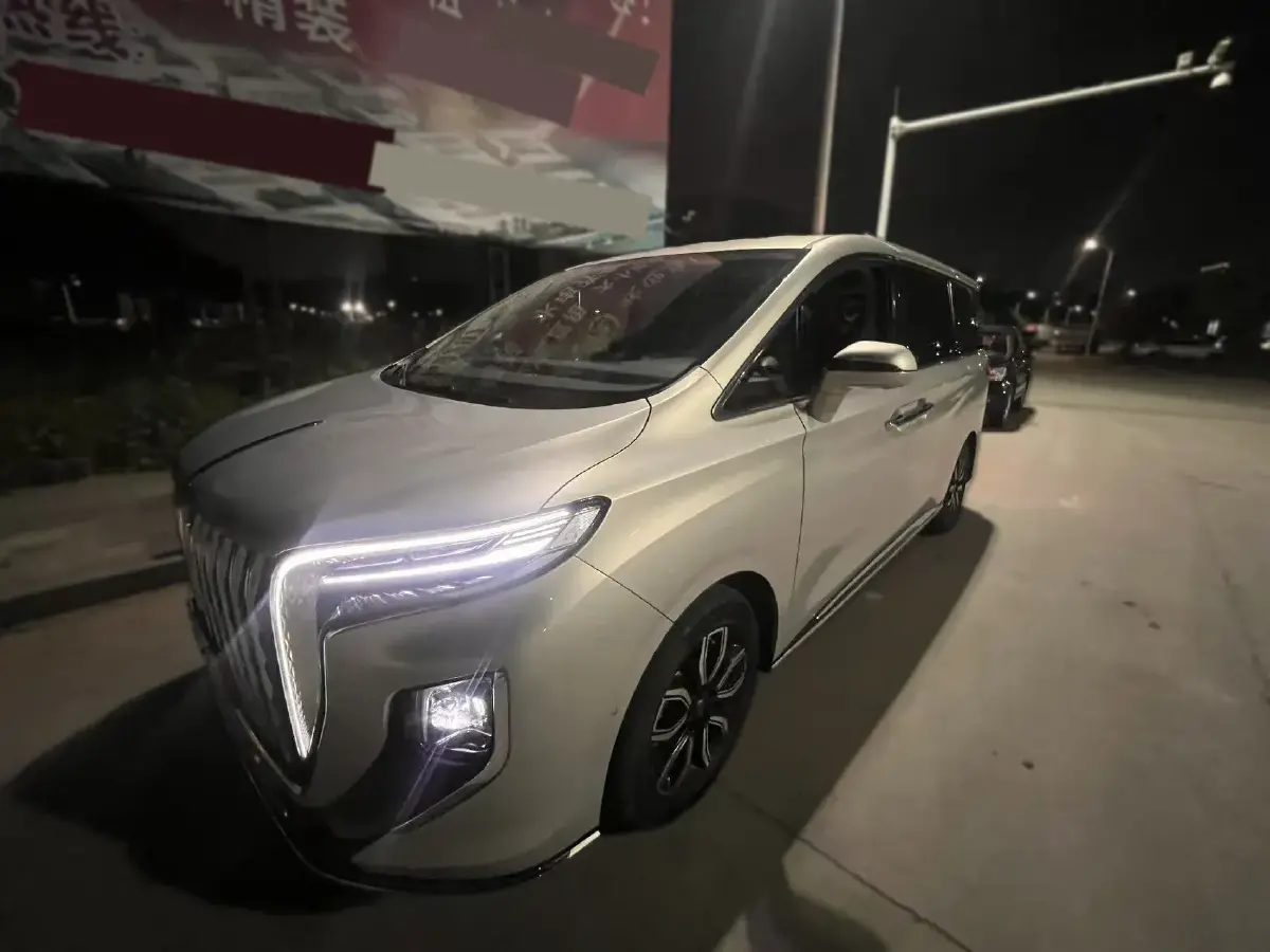 2023 HongQi HQ9 2.0T 252HP L4 8AT