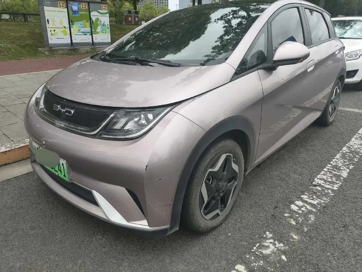 2021 BYD Dolphin BEV 44.9KWH
