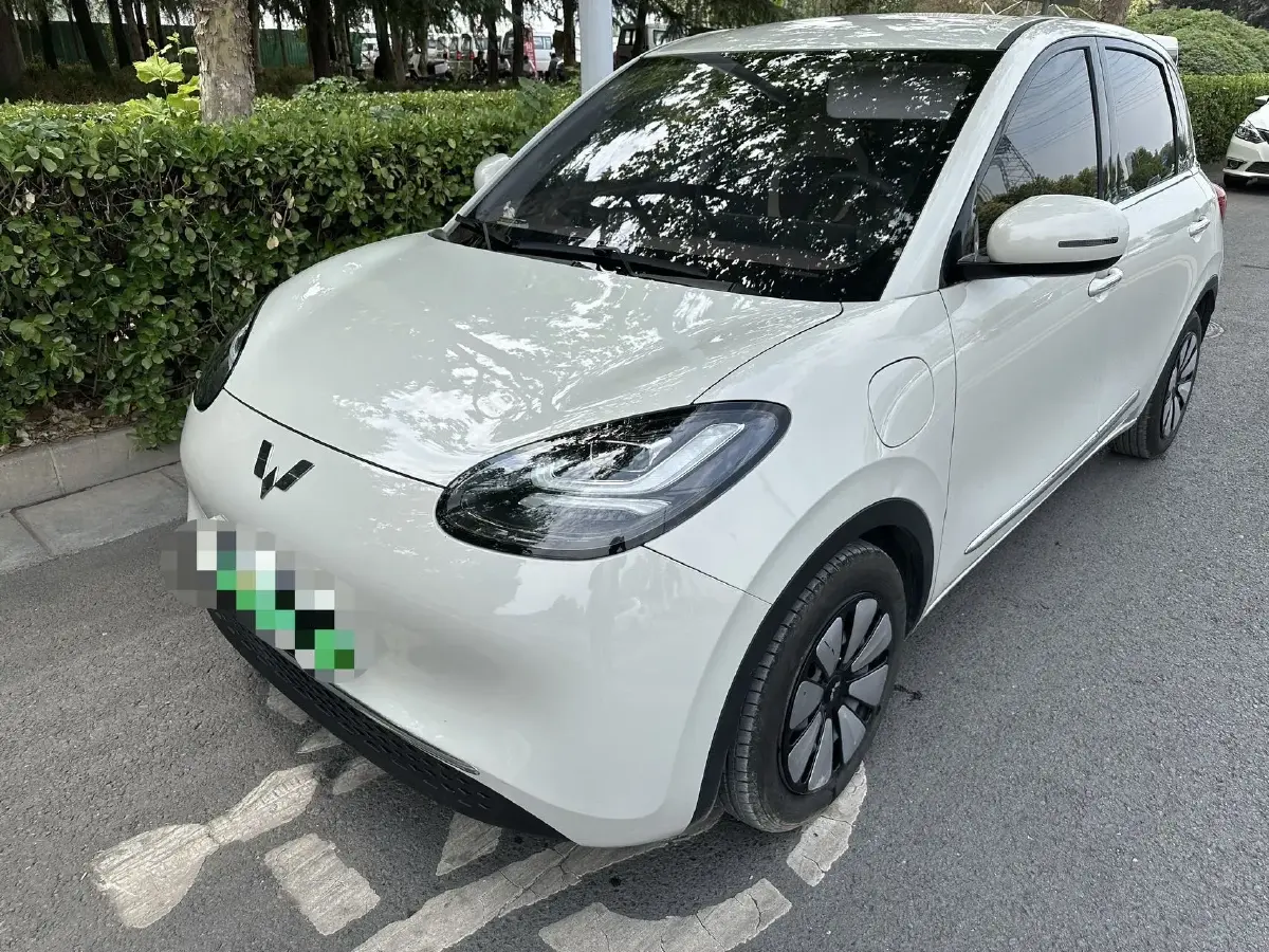 2023 WuLing BinGuo BEV 31.9KWH