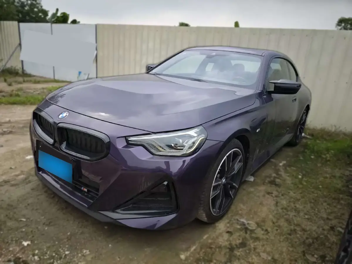 2024 BMW 3.0T 333HP L6 8AT