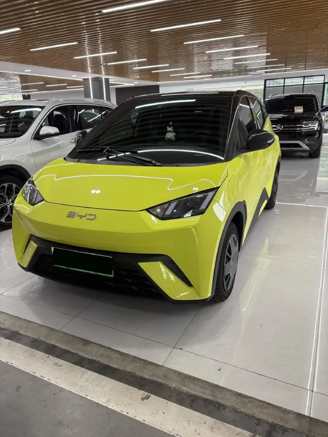 2024 BYD Seagull BEV 30.08KWH
