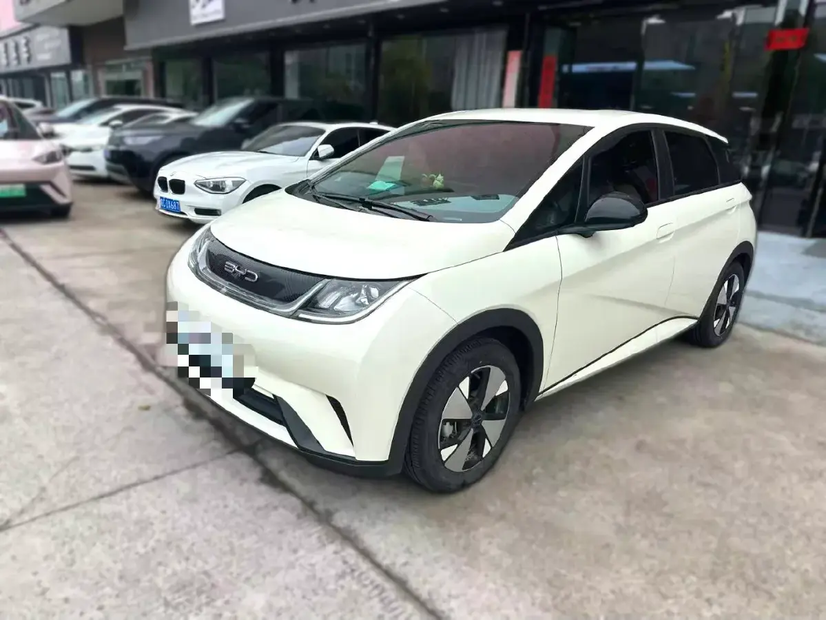 2023 BYD Dolphin BEV 44.928KWH