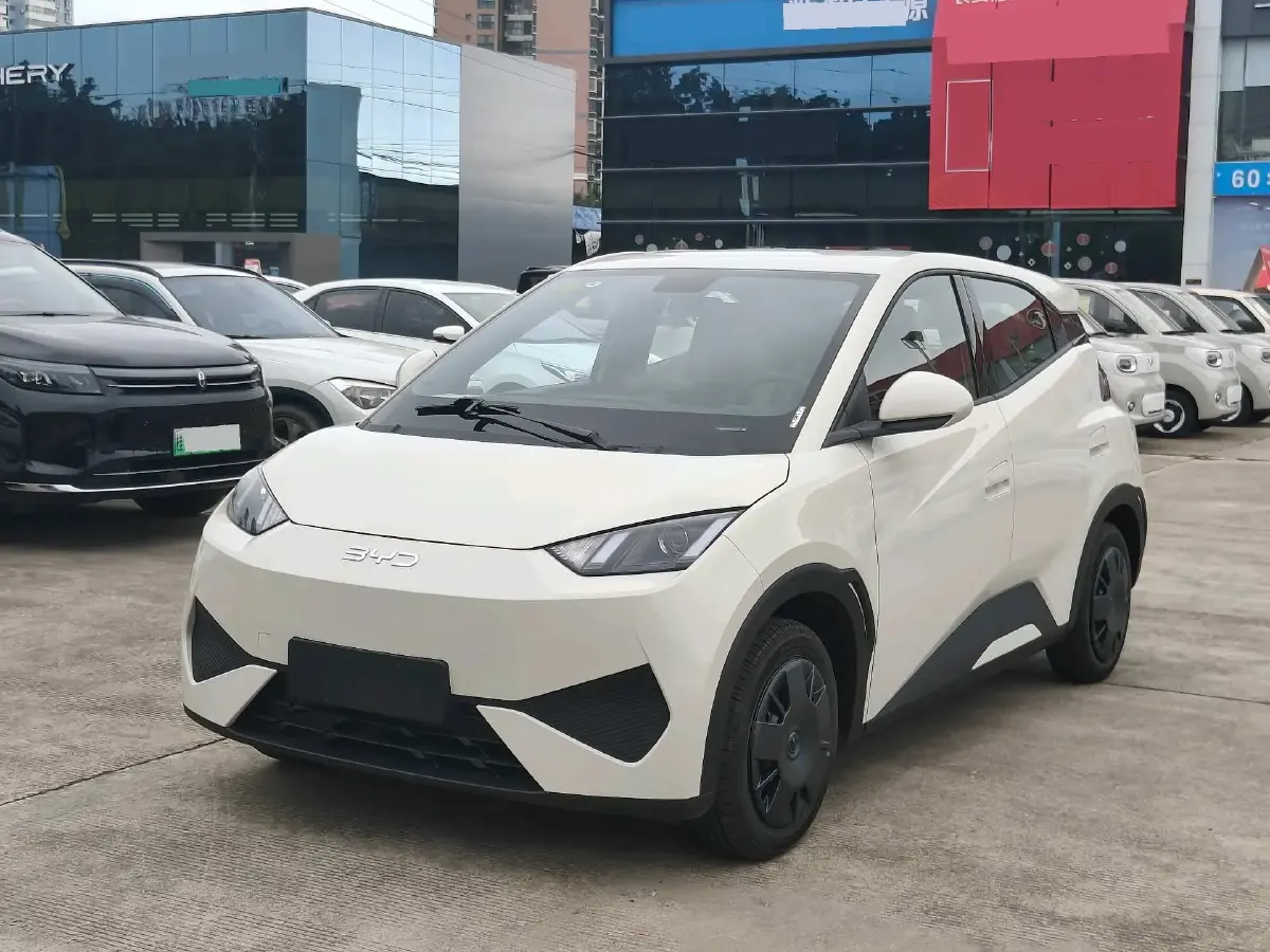 2025 BYD Seagull BEV 30.08KWH