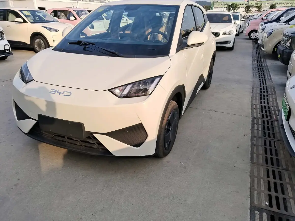 2025 BYD Seagull BEV 30.08KWH