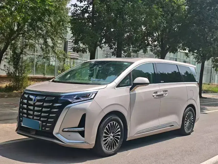 2022 Denza D9 1.5T 139HP L4 E-CVT PHEV 40.06KWH