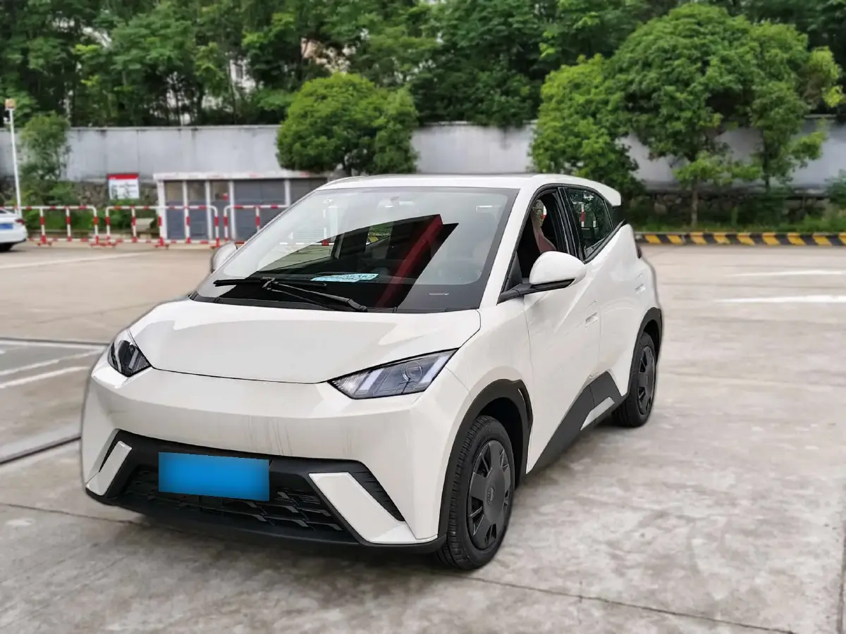 2025 BYD Seagull BEV 30.08KWH
