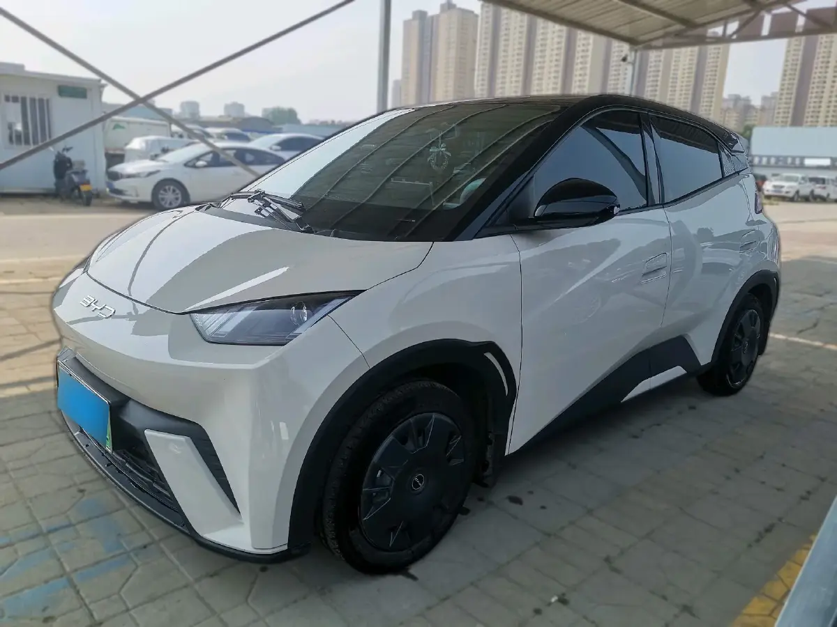 2024 BYD Seagull BEV 30.08KWH