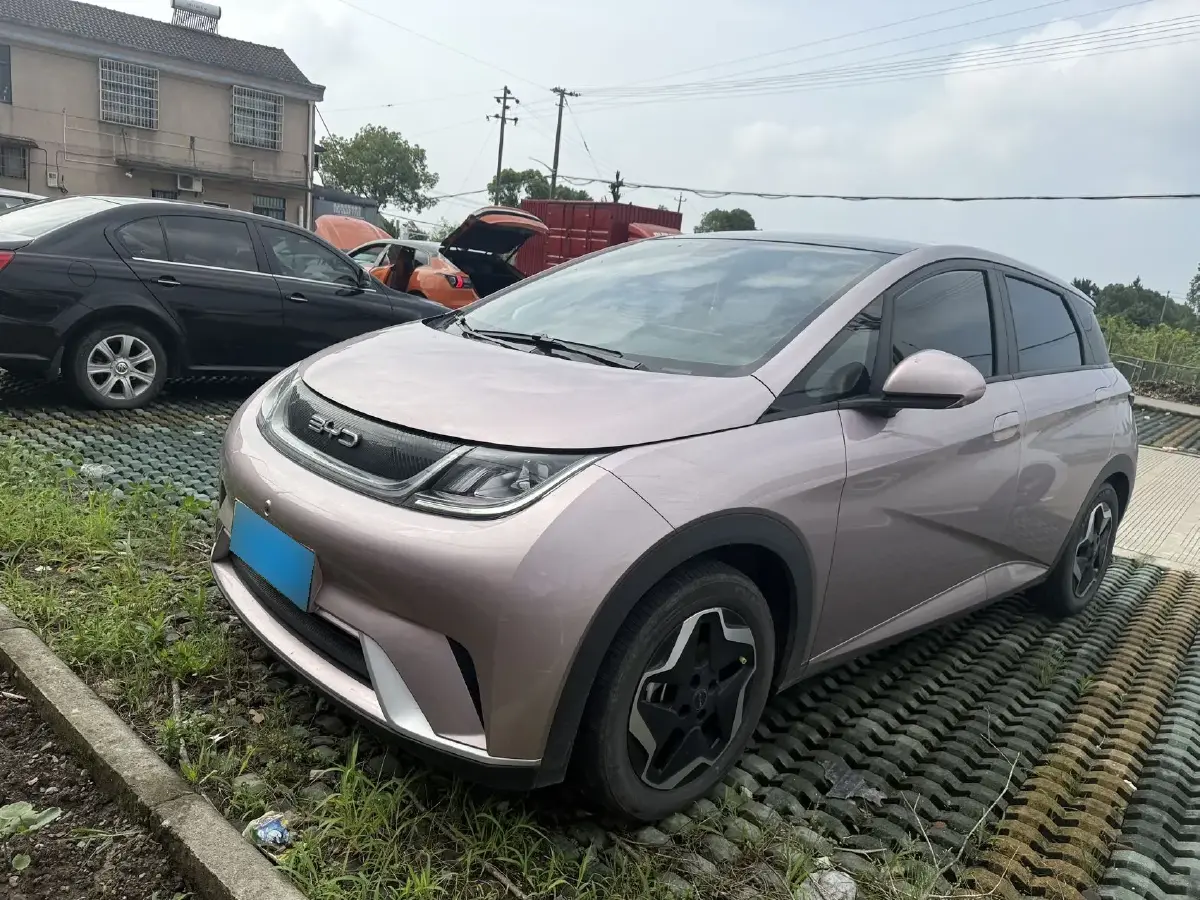 2021 BYD Dolphin BEV 44.9KWH