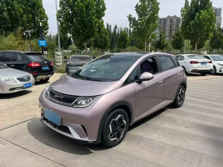 2021 BYD Dolphin BEV 44.9KWH
