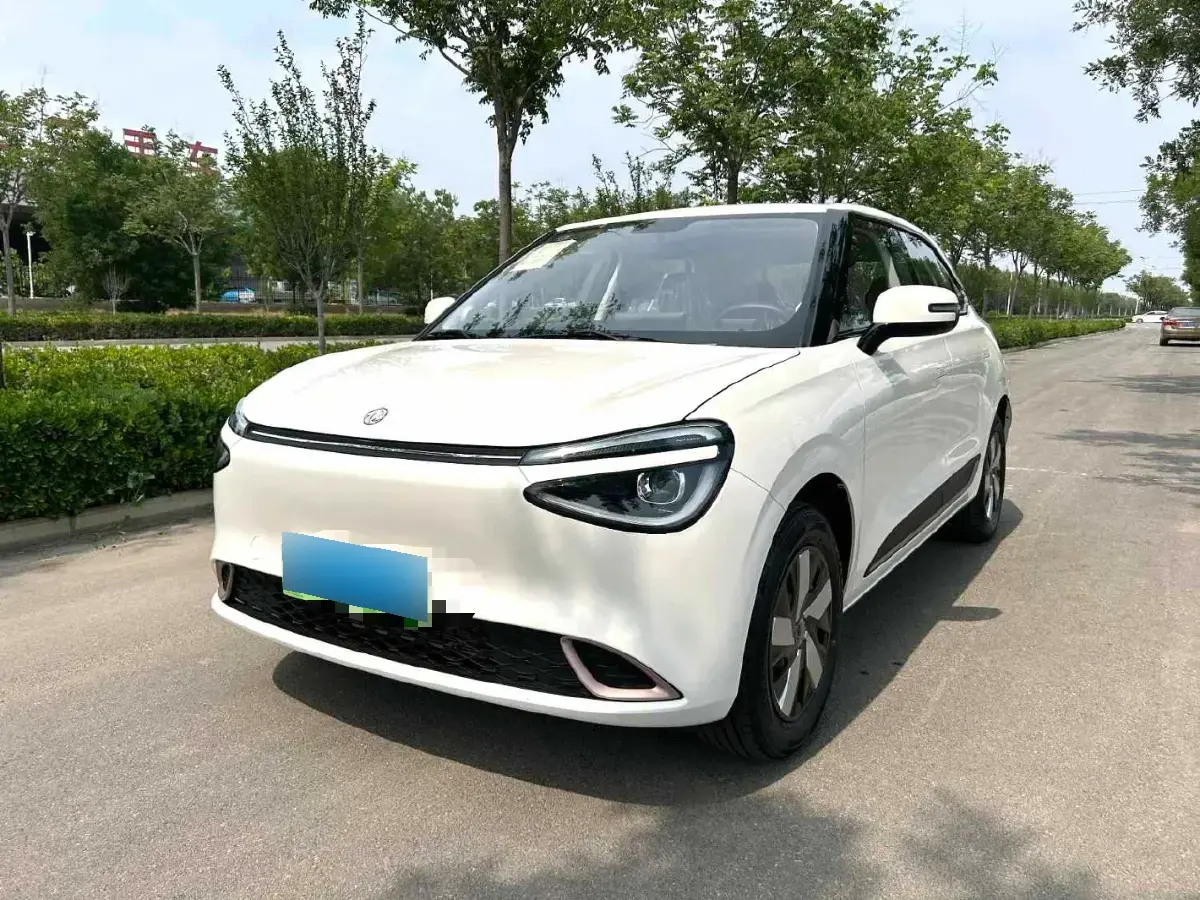 2024 DongFeng Nammi 01 BEV 31.45KWH