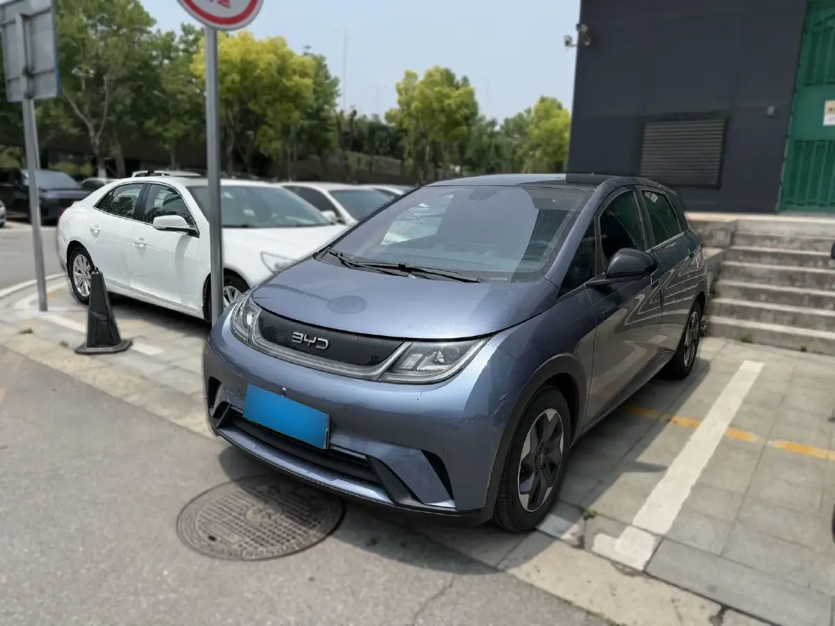 2024 BYD Dolphin BEV 44.928KWH