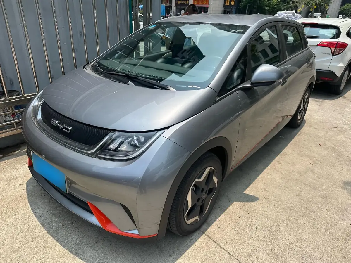 2021 BYD Dolphin BEV 44.9KWH