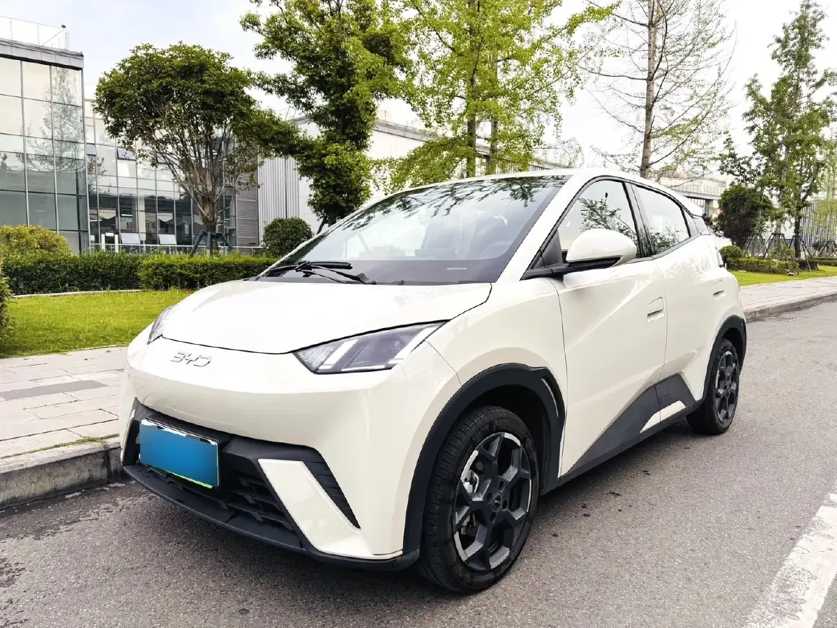 2024 BYD Seagull BEV 38.88KWH