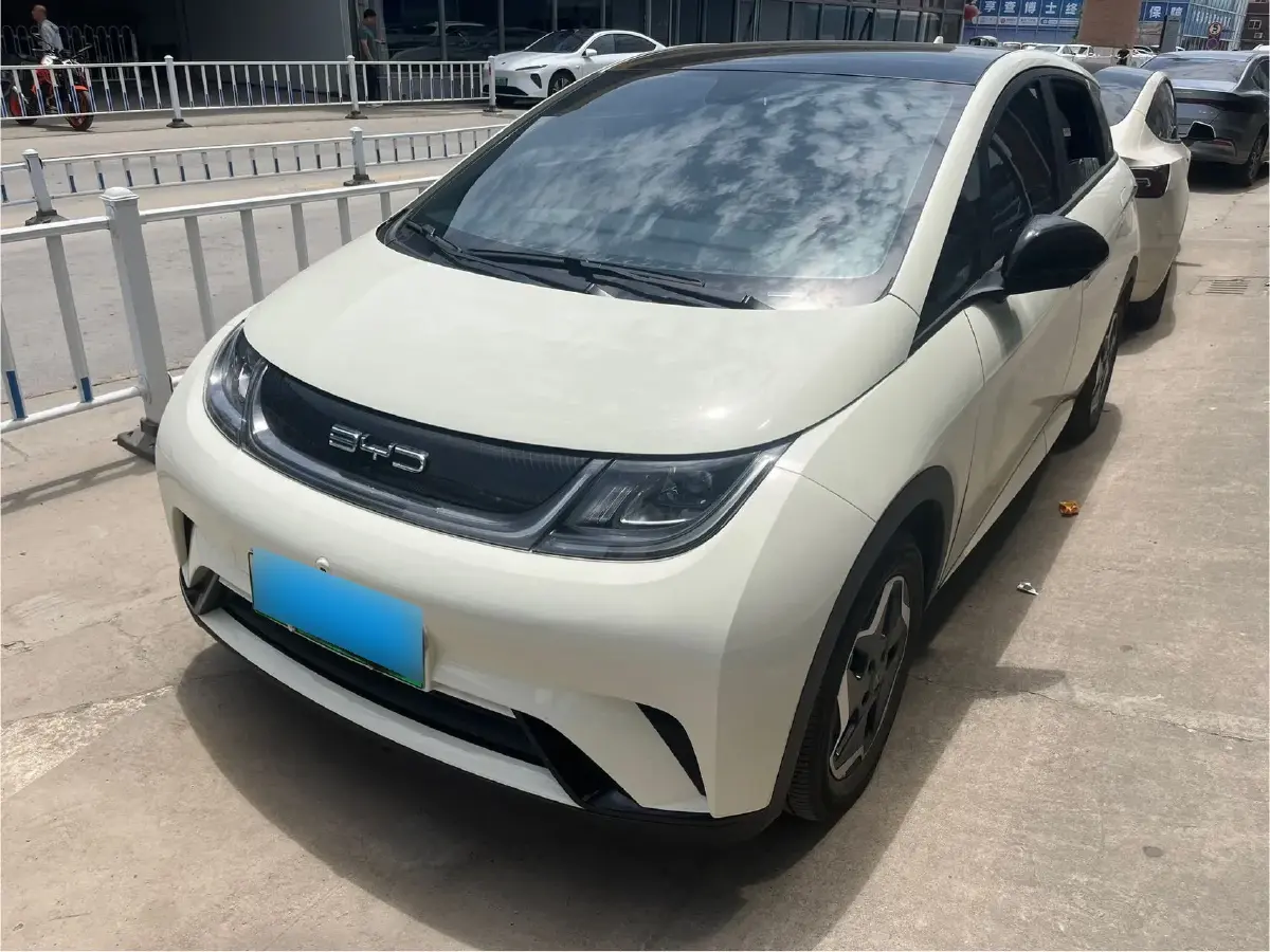 2021 BYD Dolphin BEV 44.9KWH