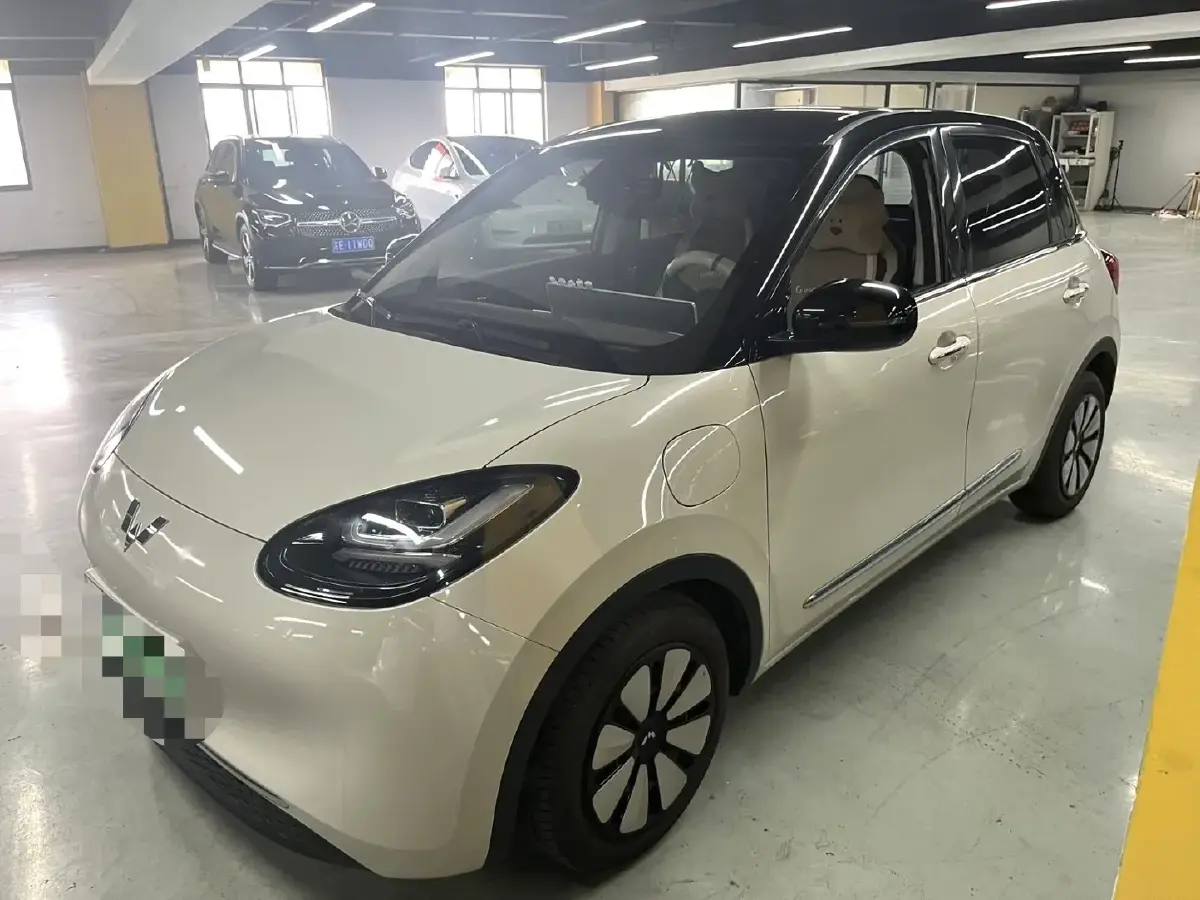 2023 WuLing BinGuo BEV 31.9KWH
