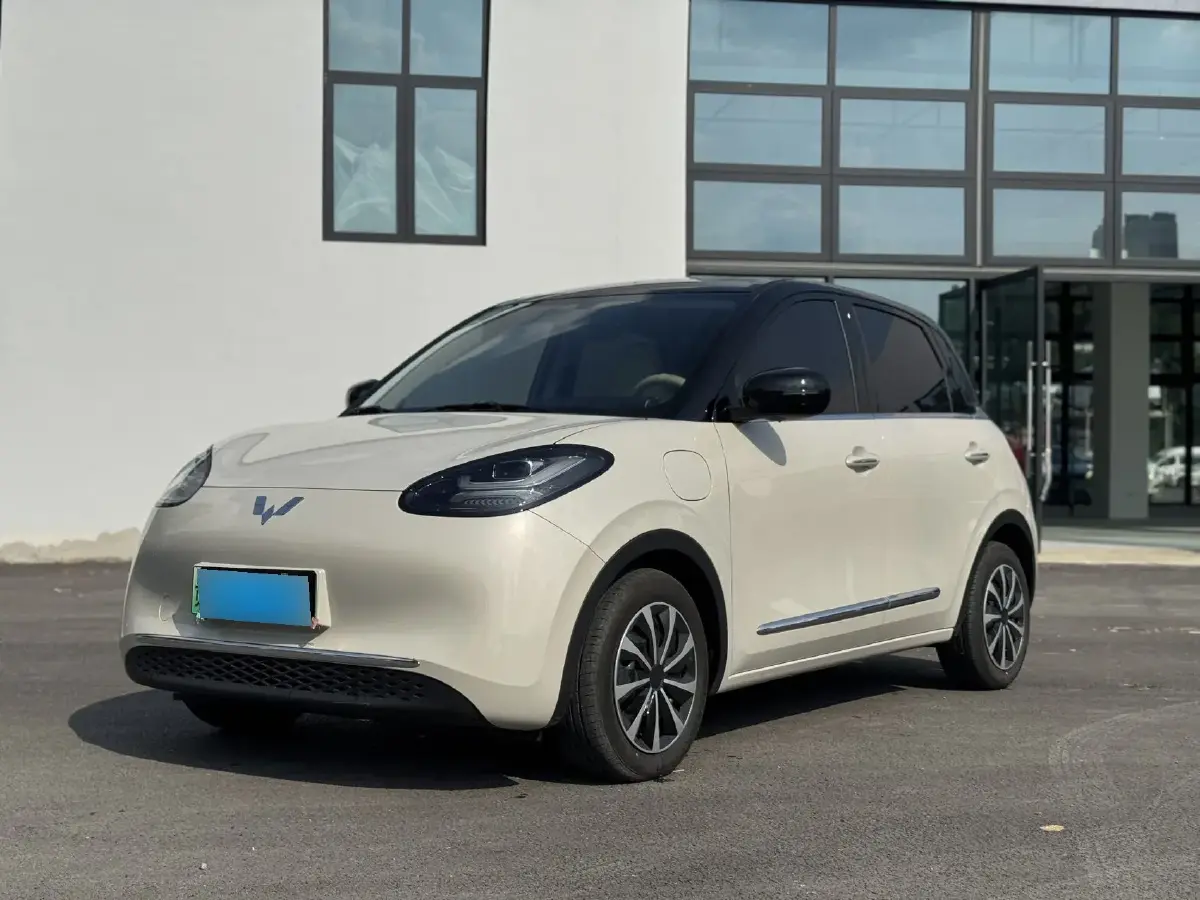 2024 WuLing BinGuo BEV 31.9KWH