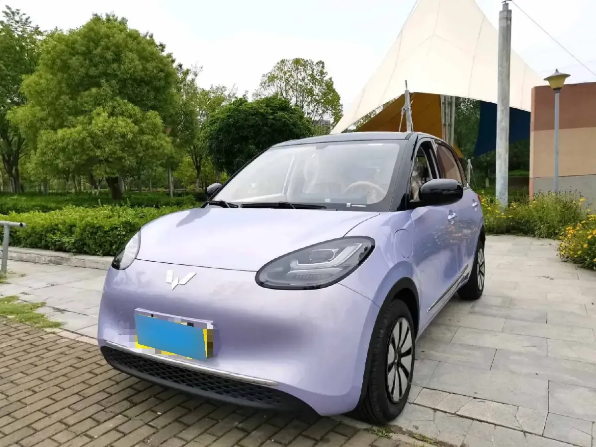 2025 WuLing BinGuo BEV