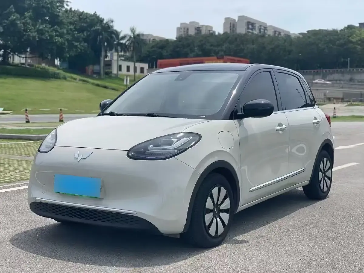 2023 WuLing BinGuo BEV 31.9KWH