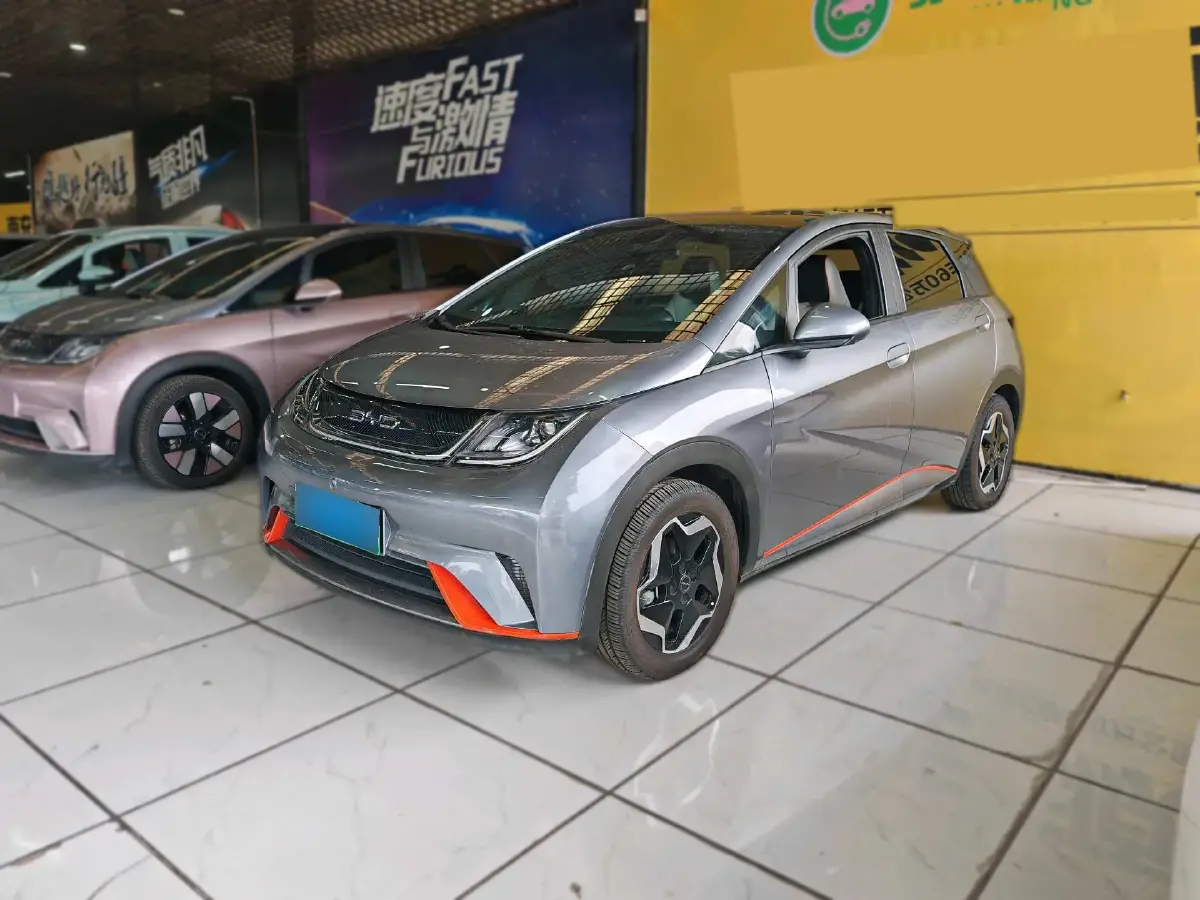 2021 BYD Dolphin BEV 44.9KWH
