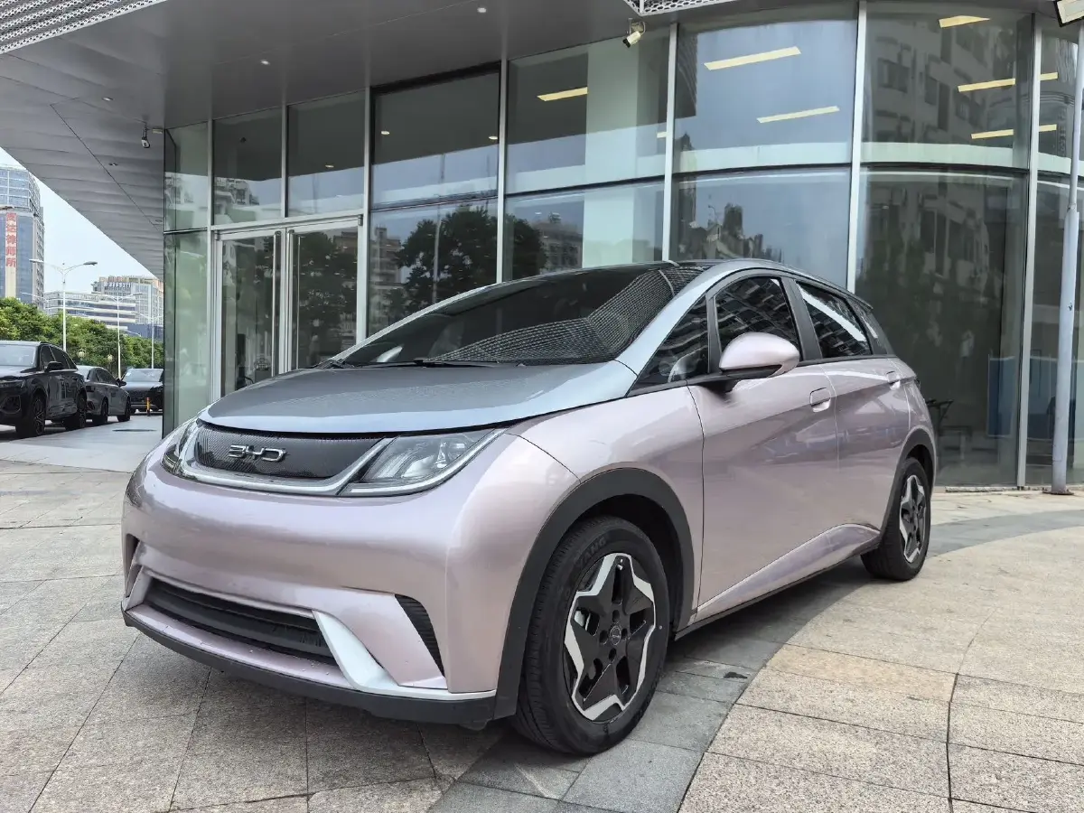 2021 BYD Dolphin BEV 44.9KWH
