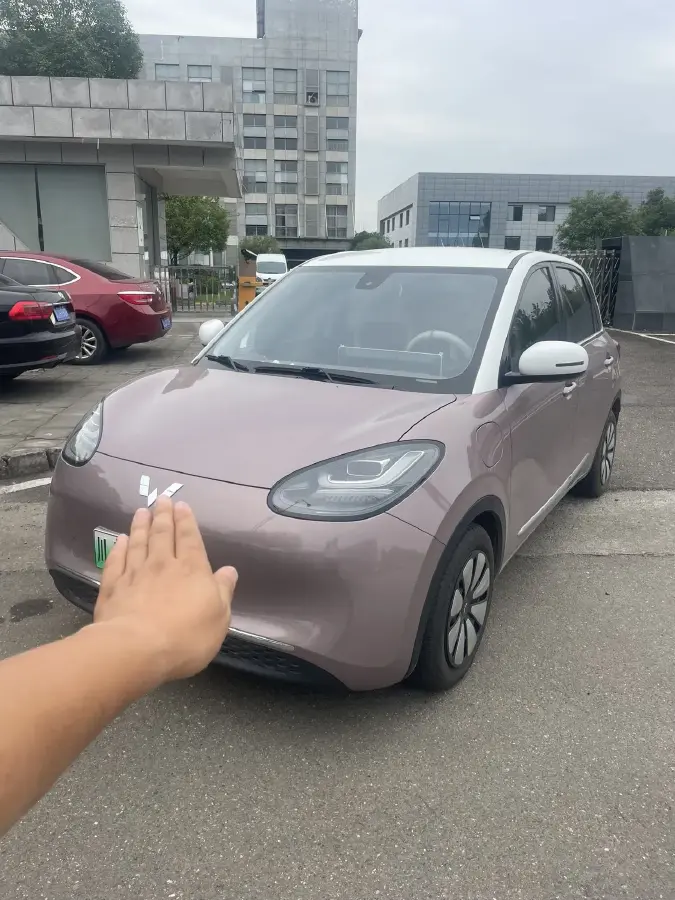 2023 WuLing BinGuo BEV 31.9KWH