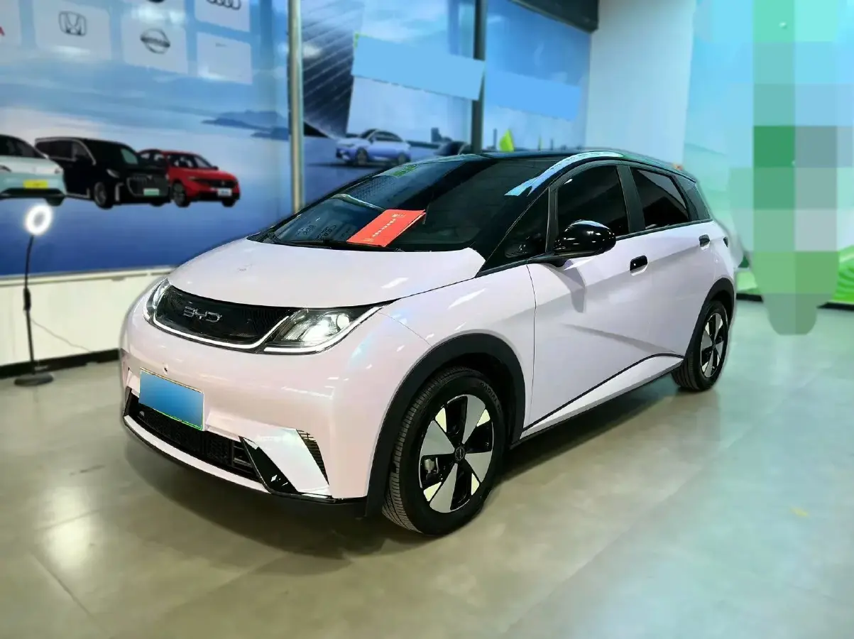 2023 BYD Dolphin BEV 44.928KWH