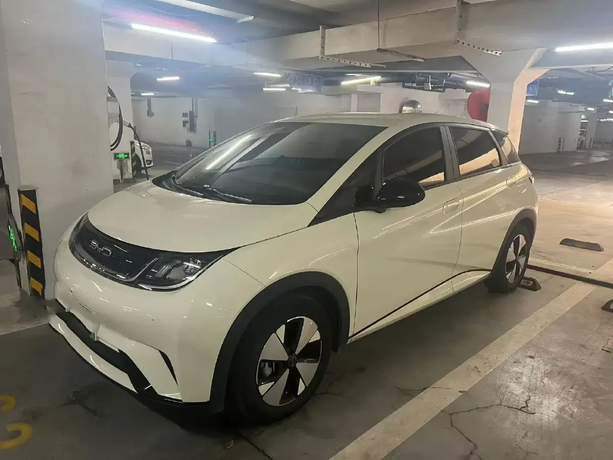 2023 BYD Dolphin BEV 44.928KWH