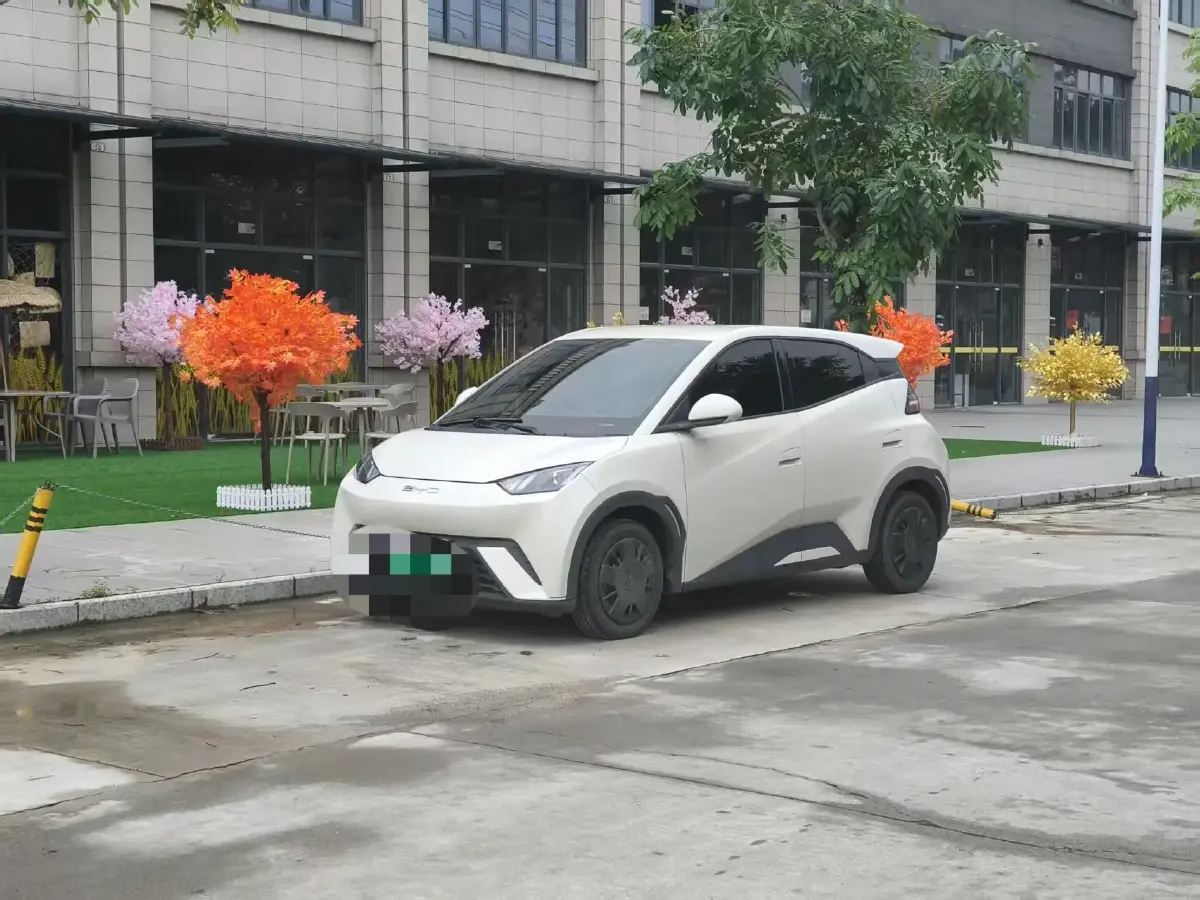 2023 BYD Seagull BEV 30.08KWH