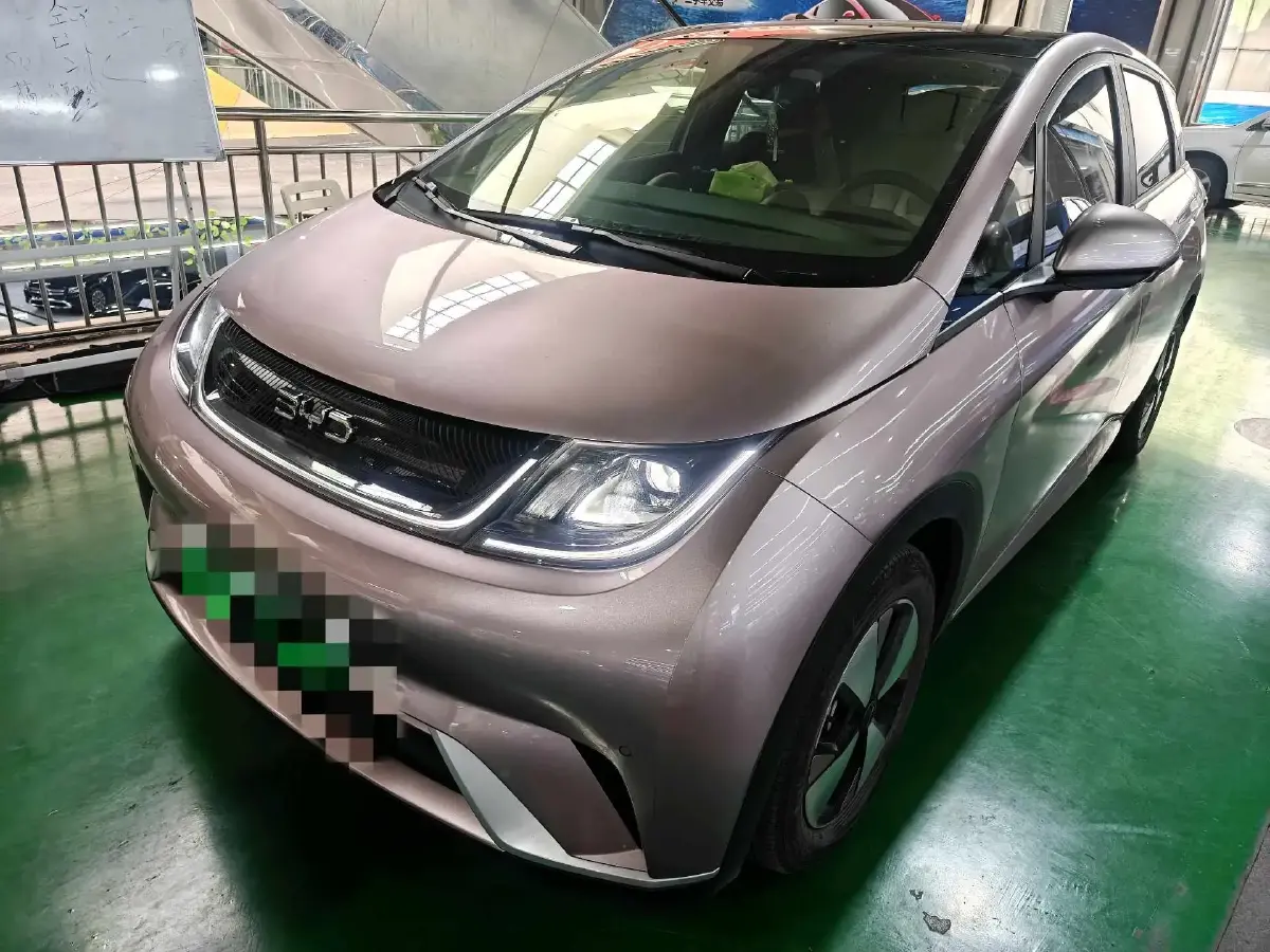 2021 BYD Dolphin BEV 44.9KWH