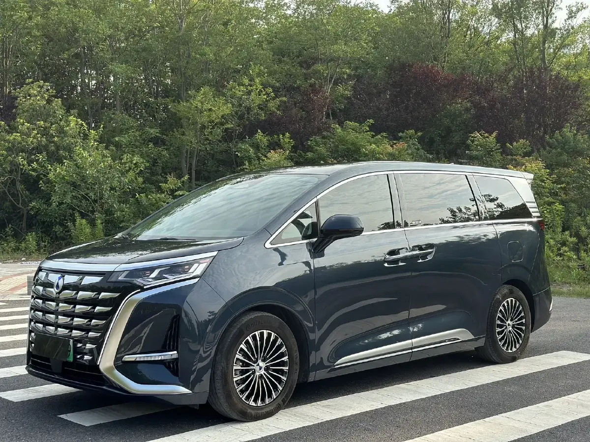 2024 Denza D9 1.5T 139HP L4 E-CVT PHEV 40KWH