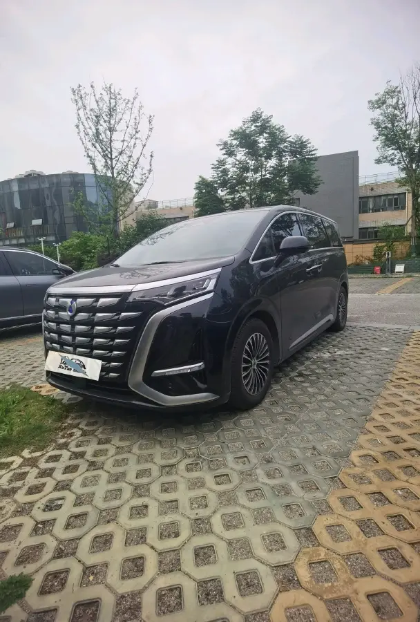2022 Denza D9 1.5T 139HP L4 E-CVT PHEV 40.06KWH