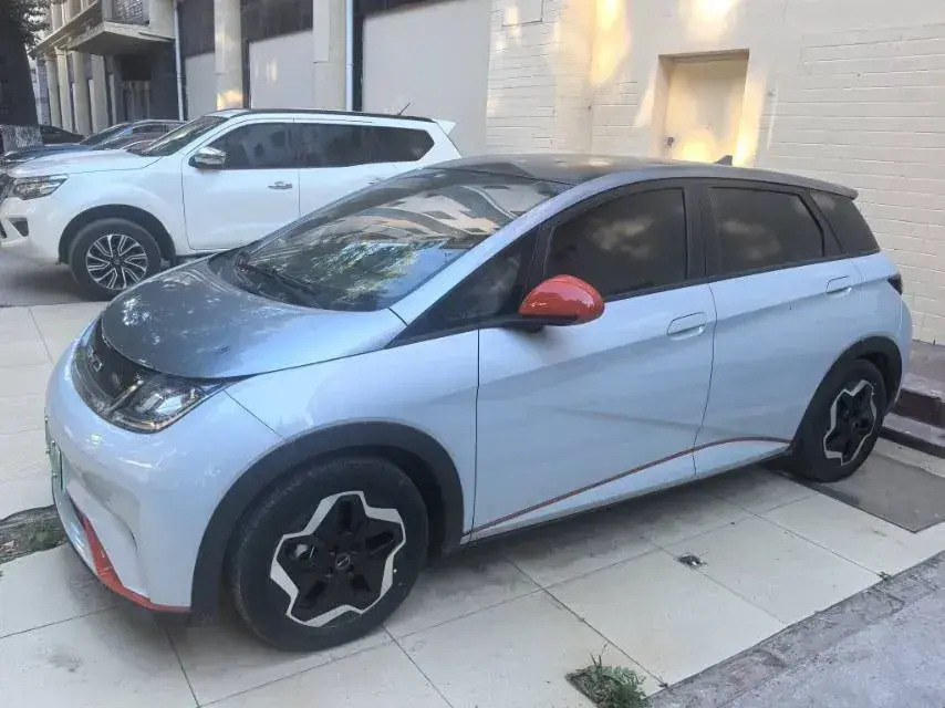 2021 BYD Dolphin BEV 44.9KWH