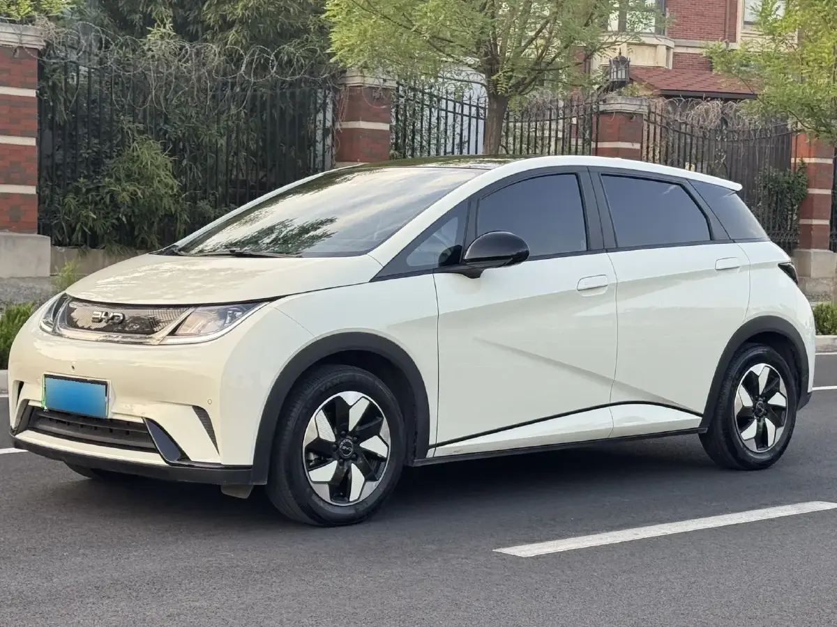 2024 BYD Dolphin BEV 44.928KWH