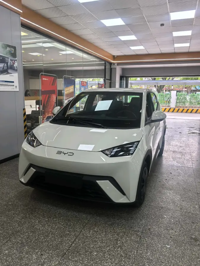 2025 BYD Seagull BEV 30.08KWH