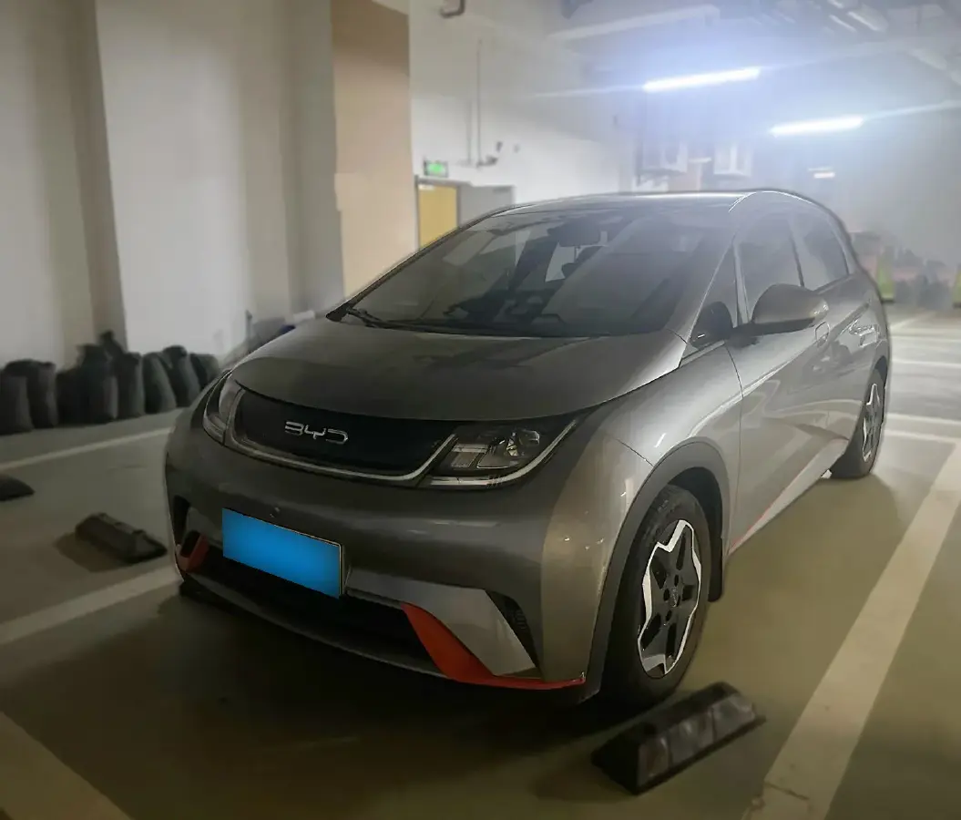 2021 BYD Dolphin BEV 44.9KWH
