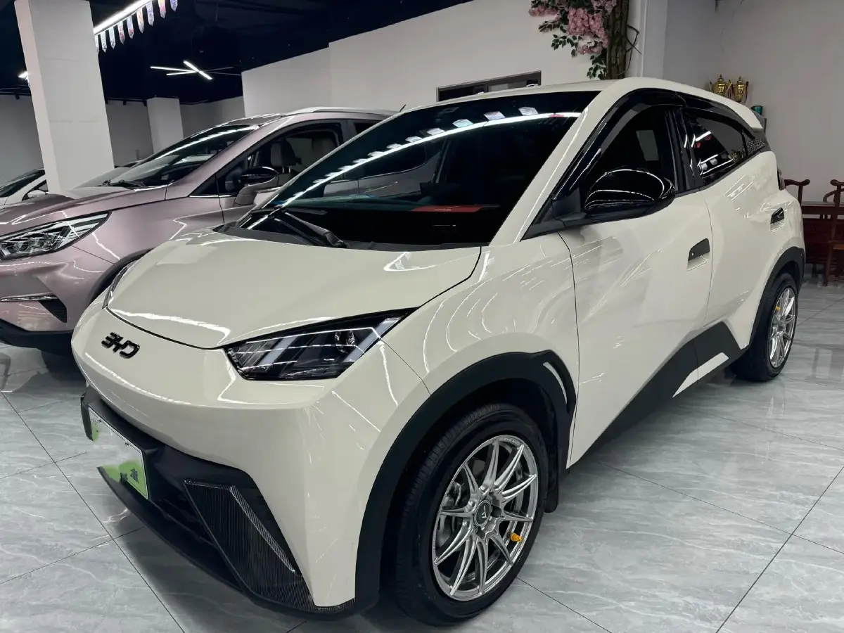 2024 BYD Seagull BEV 30.08KWH
