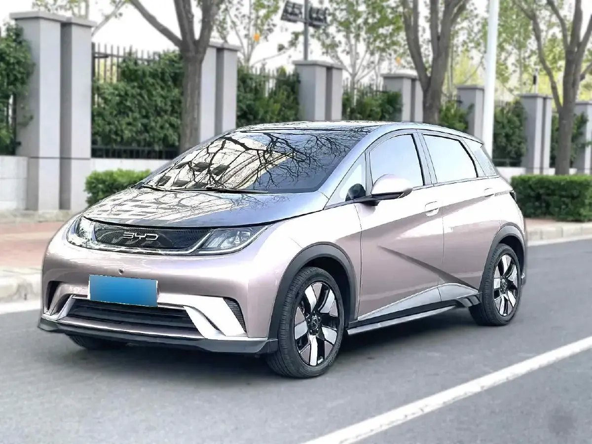 2021 BYD Dolphin BEV 44.9KWH